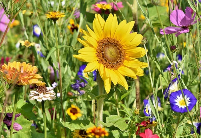Guide d'Achat Éclairage Extérieur Jardin